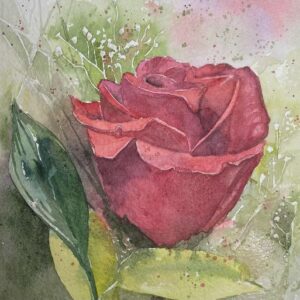 Watercolor for Beginners – Paint a Red Rose