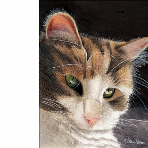 Colored Pencil Cat Portraits